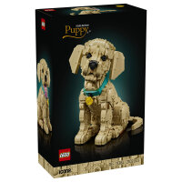 11384 Icons Golden Retriever Welpe
