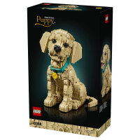 11384 Icons Golden Retriever Welpe