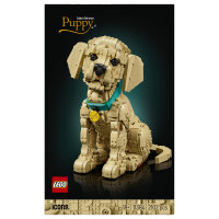 11384 Icons Golden Retriever Welpe
