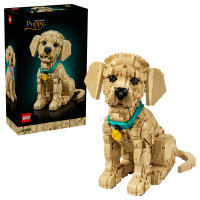 11384 Icons Golden Retriever Welpe