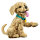 11384 Icons Golden Retriever Welpe