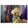 11384 Icons Golden Retriever Welpe