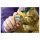 11384 Icons Golden Retriever Welpe