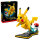 72152 Pokmon Pikachu und Pokball