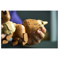 72151 Pokmon Evoli