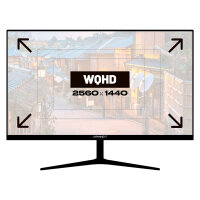 JapanNext WQHD Monitor 68,6cm (27")