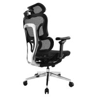 Equip Ergonomischer Bürostuhl+Kopf/Armstützen...