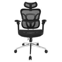 Equip Ergonomischer Bürostuhl+Kopf/Armstützen schwarz lite Retail