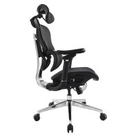 Equip Ergonomischer Bürostuhl+Kopf/Armstützen schwarz lite Retail