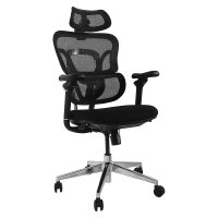 Equip Ergonomischer...