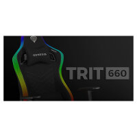 Genesis Gaming Stuhl TRIT 660 RGB schwarz