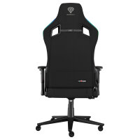 Genesis Gaming Stuhl TRIT 660 RGB schwarz