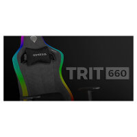 Genesis Gaming Stuhl TRIT 660 RGB grau