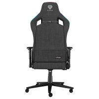 Genesis Gaming Stuhl TRIT 660 RGB grau