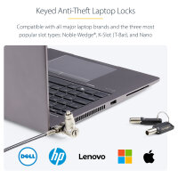 StarTech 25-Pack Universal Laptop Lock 6.6ft (2m)