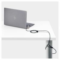 StarTech 25-Pack Laptop Lock, Compatible w/Noble Wedge/Nano/K-Slot - Sicherheitskabelschloss - Schwarz, Silber - 2 m - TAA