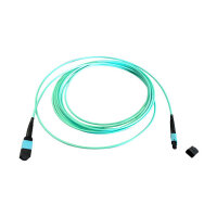 EFB MTP(F)-MTP(F) Patchkabel OM3 12 Fasern Typ B LSZH...