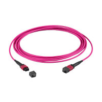 EFB MTP(F)-MTP(F) Patchkabel OM4 72 Fasern Typ A LSZH...