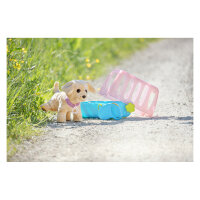 ZAPF Creation BABY born Mein Hund Lucky mit Box