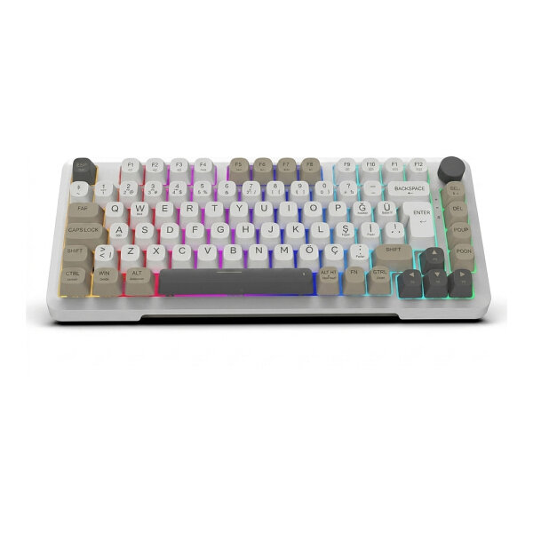 INCA Gaming Tastatur RGB/GraySwitch/USB-C/BT 2.00m weiß