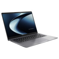 ASUS ExpertBook P3 P3405CVA-NZ0417X...