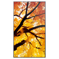 Sharp MultiSync M752 Digital Signage Display 189,3 cm 75 Zoll