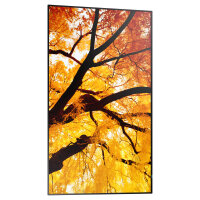Sharp MultiSync M752 Digital Signage Display 189,3 cm 75 Zoll