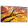 Sharp MultiSync M752 Digital Signage Display 189,3 cm 75 Zoll