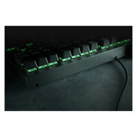 Razer BlackWidow V3 Tenkeyless green Switch QWERTY