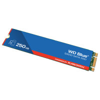 M.2 WD Blue SA510 SSD 250GB M.2 2280 SATA III 6Gb/s internal single-packed