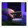 1TB WD_BLACK™ D30 Game Drive for Xbox™