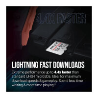 Card MicroSD 128GB PNY microSD Express