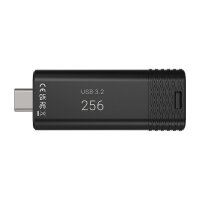 STICK PNY PRO Elite V3 - USB-Flash-Laufwerk - 256 GB