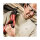 Einhell TE-AP 18 Li PXC Solo Akku-Reciprosge