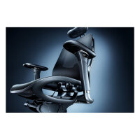 Razer Fujin Pro (schwarz, inkl. 3-D Kopfsttze)
