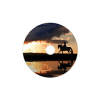 1x50 Verbatim DVD+R Double Layer 8x Speed, 8,5GB wide printable