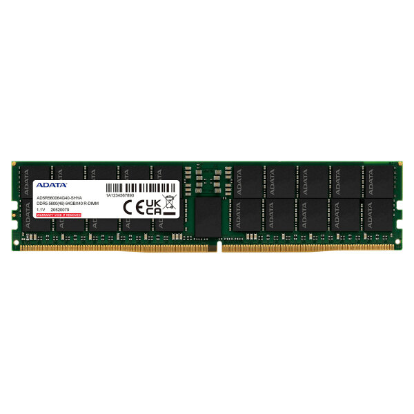 32GB ADATA RIMM 5600 (AD5R560032G20-SHYA)