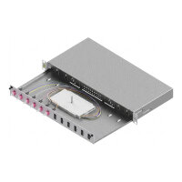 EasyLan LWL-Spleibox Grade C 19-Zoll 1HE, 12 Ports, 6x...