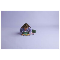 LEGO 42647 Friends Paisleys Zimmer