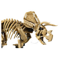 77985 LEGO 77985 J.W. TBA (8.4.)