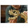Jurassic World 76968 Dinosaurier-Fossilien: Tyrannosaurus Rex