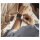Huawei Watch D2 (Luca-B10L) white