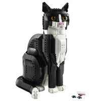 Ideas Schwarz-weisse Katze 21349