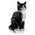 Ideas Schwarz-weisse Katze 21349