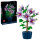 Icons 10372 Hibiskus