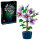 Icons 10372 Hibiskus