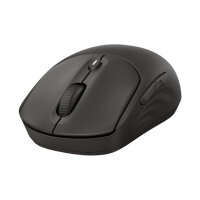 HP 405 Quiet Wireless-Maus EMEA-INT, schwarz