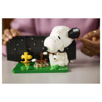 LEGO 21368 Ideas Peanuts: Snoopys Hundehtte