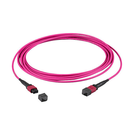 EFB MTP(F)-MTP(F) Patchkabel OM4 12 Fasern Typ B LSZH erika-violett 1m