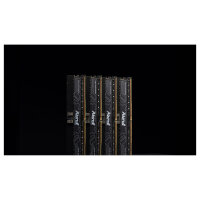 KINGSTON FURY Renegade Pro 16GB DIMM 5600MT/s DDR5 ECC Reg CL36 XMP